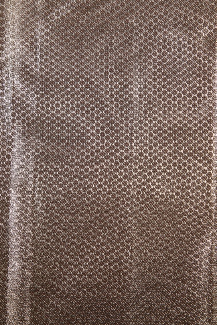 Pistachio Green Tissue Silk Sarees with Silver Zari Floral Patterns view 3