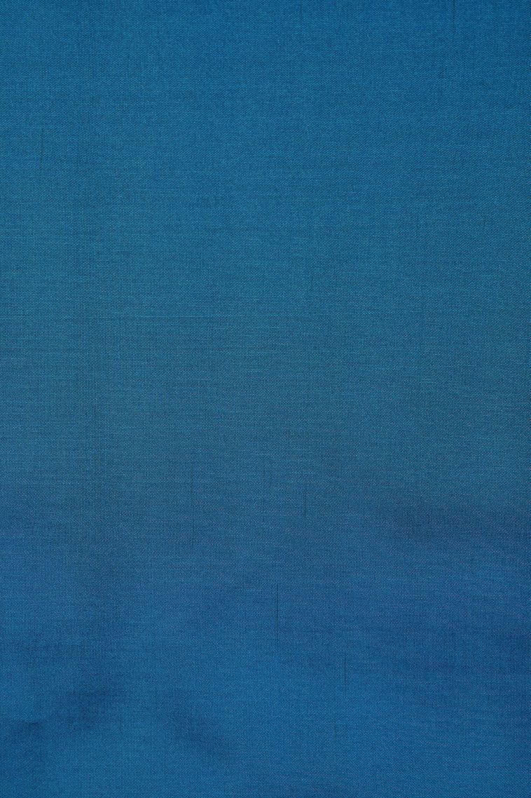 Sangria Red Soft Silk Saree with Copper Zari Buttis (small Dots Or Motifs) view 3