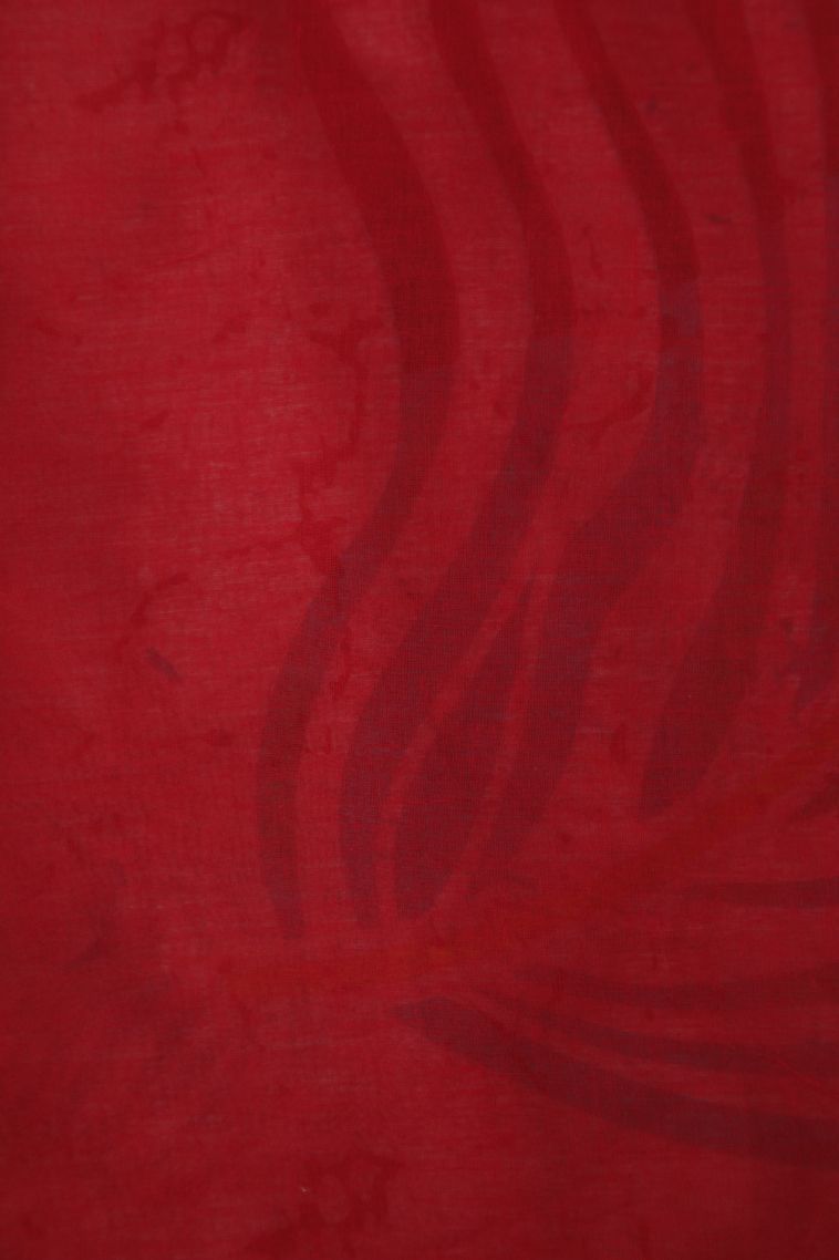 Cotton White Cotton Sarees with Without Zari Zari Floral Patterns view 3