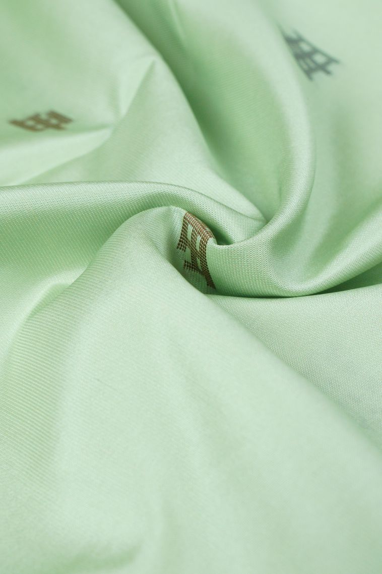 Pistachio Green Tussar Saree with Without Zari Zari Buttis (small Dots Or Motifs) view 4