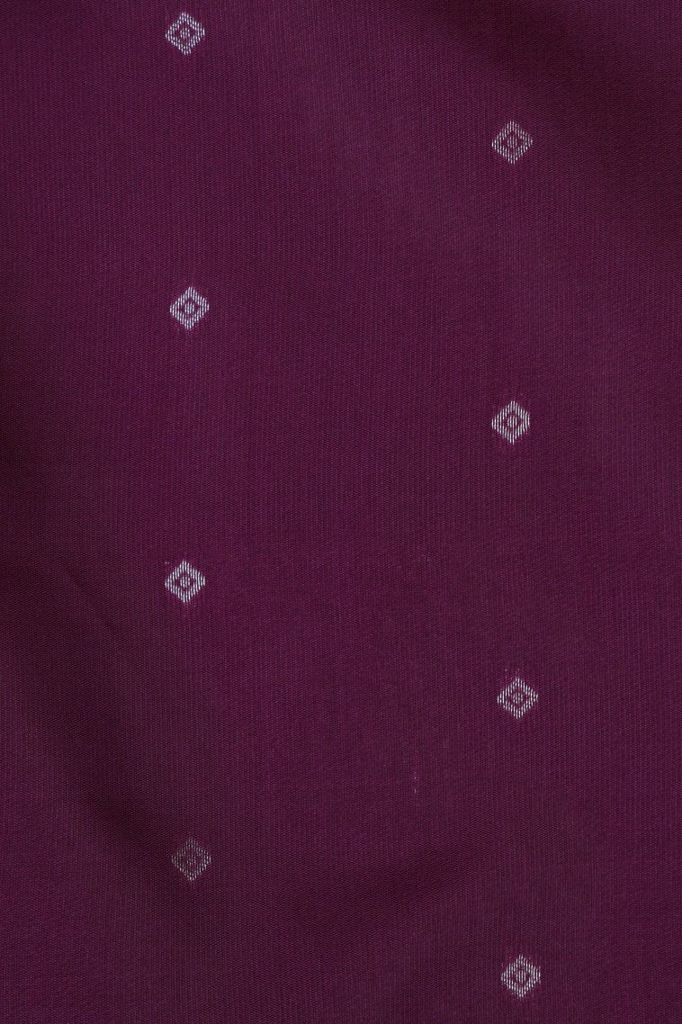 Arctic Blue Apoorva Silk Sarees with Silver Zari Buttis (small Dots Or Motifs) view 3