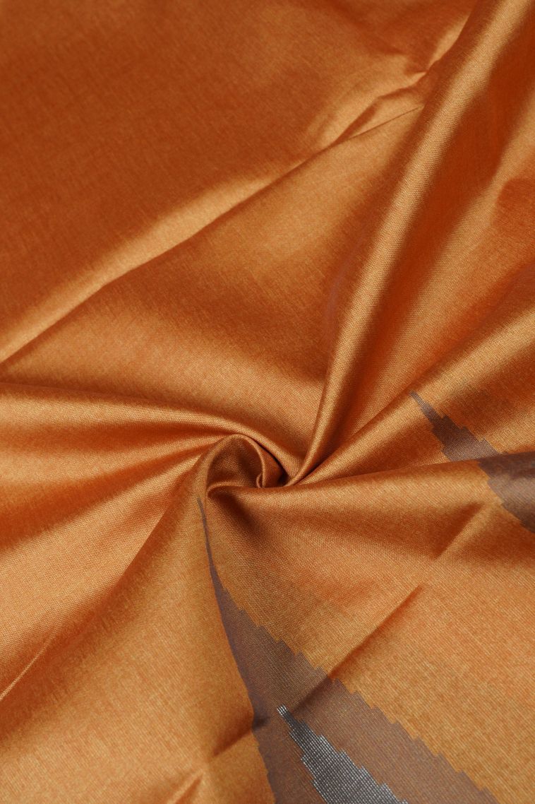 Gold Tussar Saree with Silver Zari Floral Patterns view 4