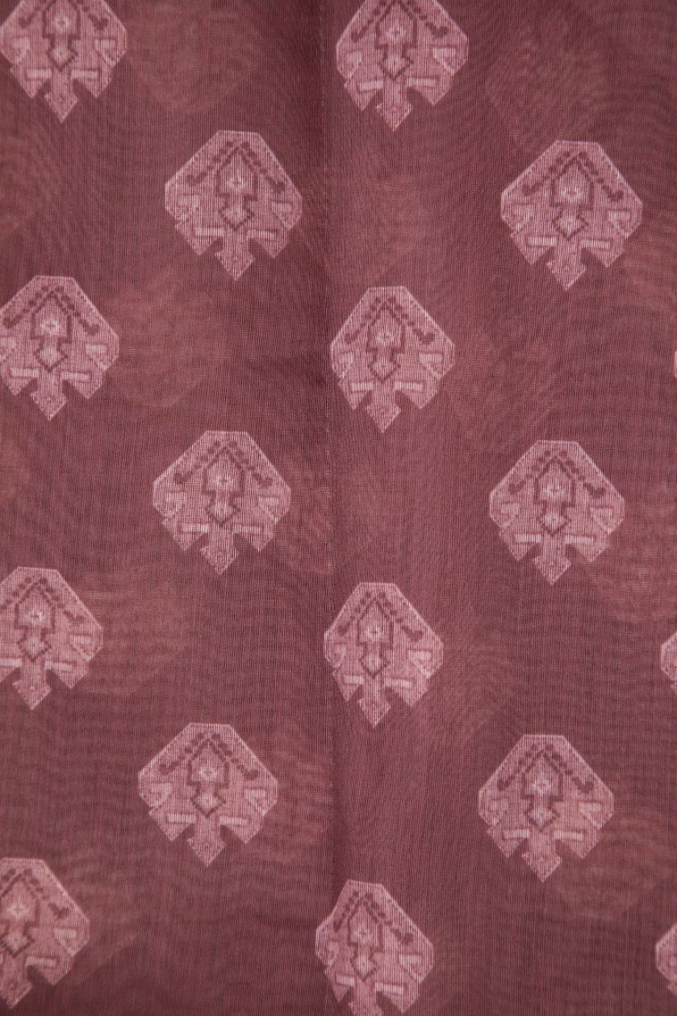 Cream White Tussar Saree with Without Zari Zari Floral Patterns view 3