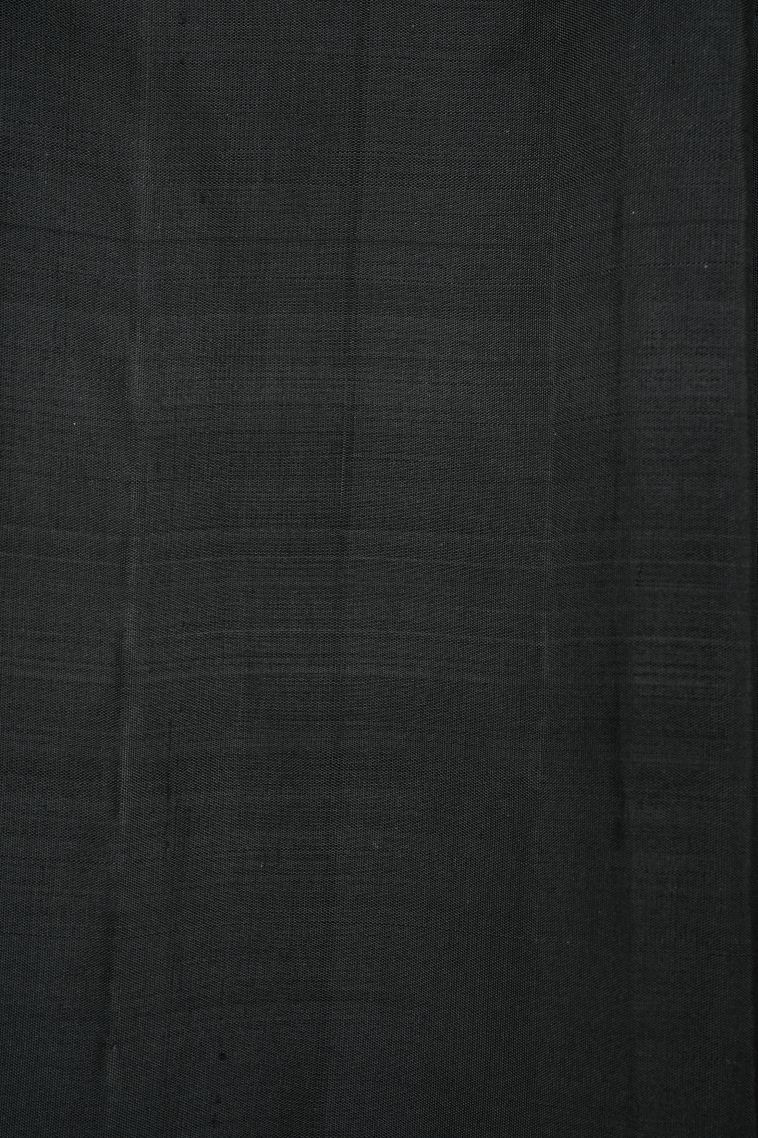 Chiffon White Kanchipuram Silk Sarees with Without Zari Zari Checks view 3