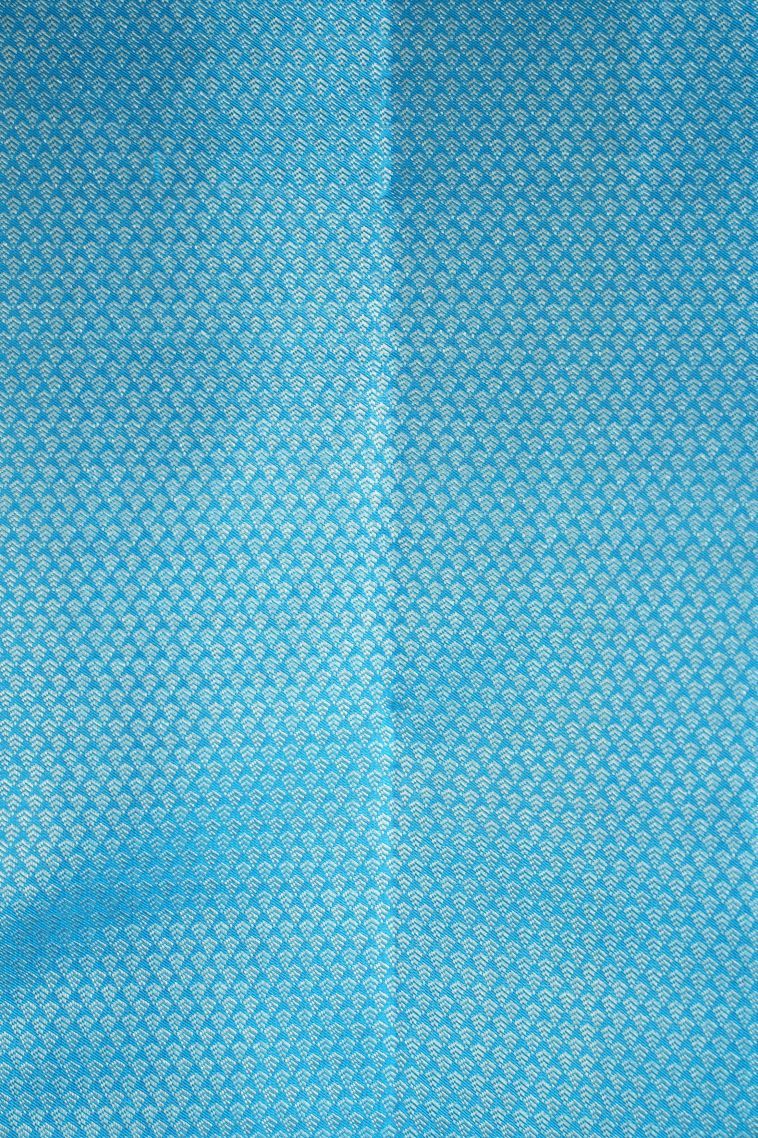 Sky Blue Kanchipuram Silk Sarees with Silver Zari Floral Patterns view 3