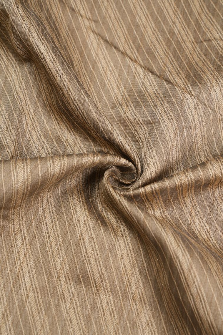 Tortilla Brown Tussar Saree with Without Zari Zari Stripes view 4