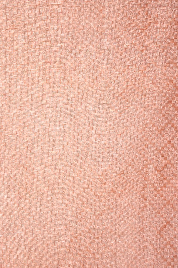 Peach Pink Organza Saree with Without Zari Zari Floral Patterns view 3