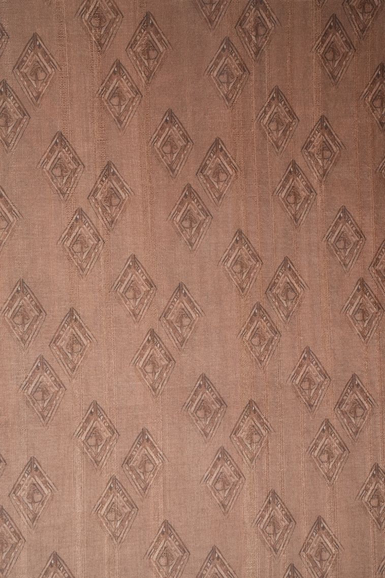 Tortilla Brown Tussar Saree with Without Zari Zari Floral Patterns view 3