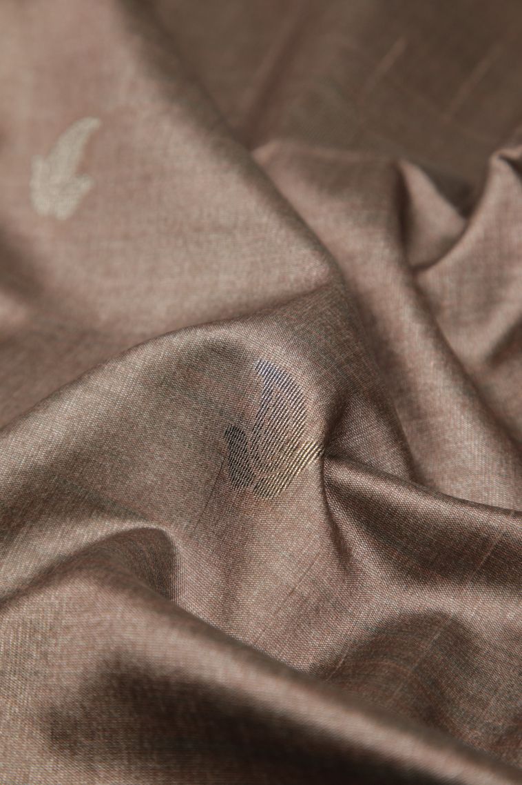 Peanut Brown Tussar Saree with Bronze Zari Buttis (small Dots Or Motifs) view 4