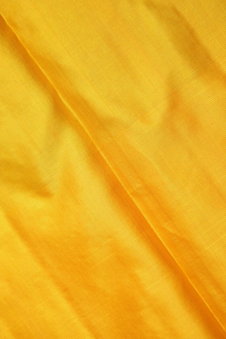 Lime Green Soft Silk Saree with Silver Zari Floral Patterns view 3