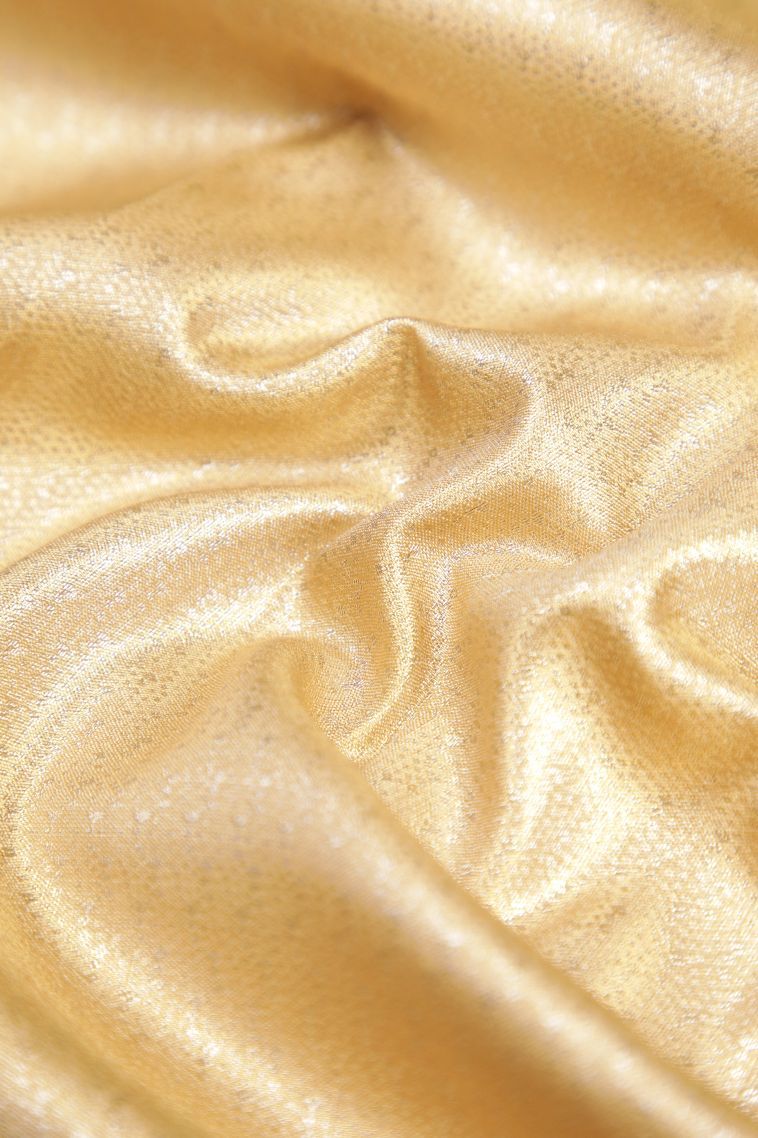 Gold Tissue Silk Sarees with Silver Zari Floral Patterns view 4