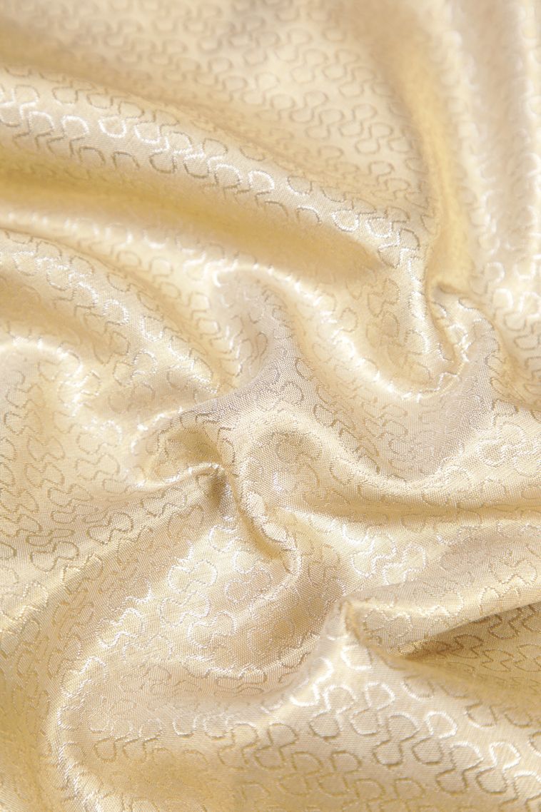 Cream White Tissue Silk Sarees with Silver Zari Floral Patterns view 4