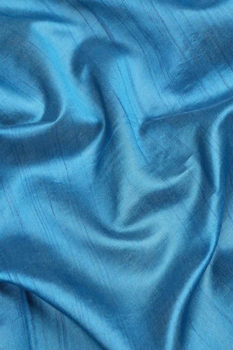 Daffane Blue Tussar Saree with Without Zari Zari Buttis (small Dots Or Motifs) view 3