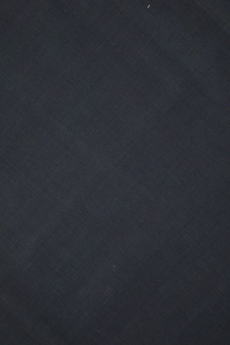 Mint Green Pure Handloom Kovai Cotton with Without Zari Zari Buttis (small Dots Or Motifs) view 3