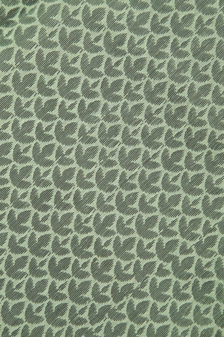 Pistachio Green Silk Cotton with Without Zari Zari Buttis (small Dots Or Motifs) view 3