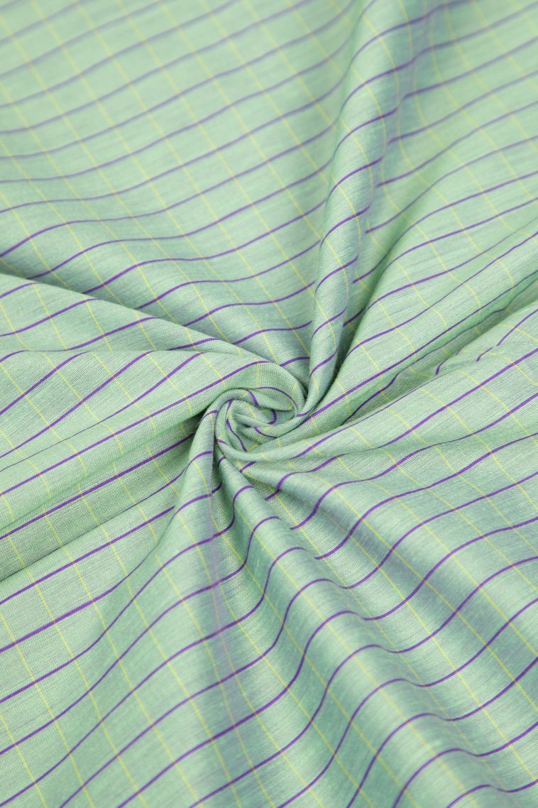 Mint Green Kalyani Cotton with Without Zari Zari Checks view 4
