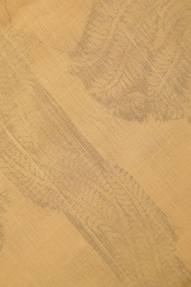 Hot Pink Pure Handloom Kovai Cotton with Without Zari Zari Buttis (small Dots Or Motifs) view 3