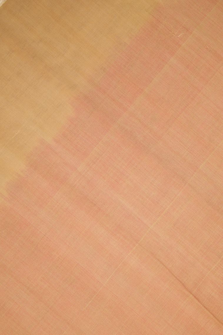 Bubblegum Pink Pure Handloom Kovai Cotton with Without Zari Zari Buttis (small Dots Or Motifs) view 3