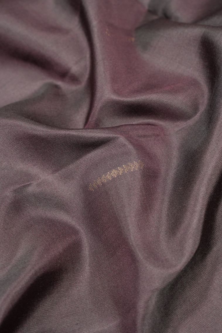 Syrup Brown Soft Silk Saree with Gold Zari Buttis (small Dots Or Motifs) view 4