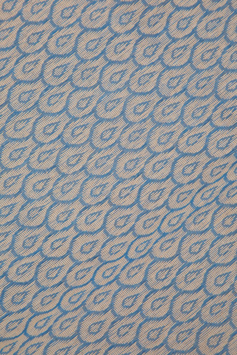 Sky Blue Silk Cotton with Without Zari Zari Buttis (small Dots Or Motifs) view 3