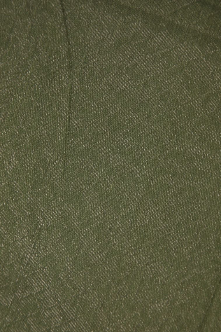 Basil Green Silk Cotton Sarees with Bronze Zari Buttis (small Dots Or Motifs) view 3
