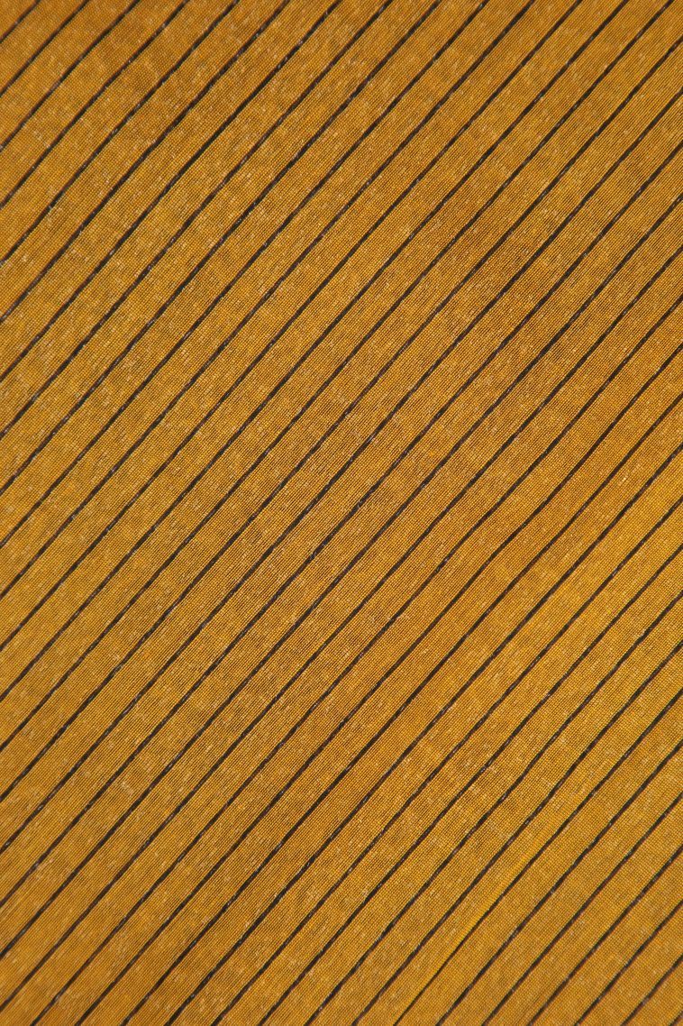 Aegean Blue Silk Cotton Sarees with Bronze Zari Stripes view 3