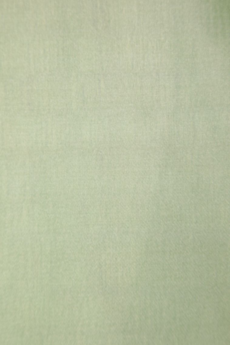 Lime Green Soft Silk Saree with Gold And Silver Zari Stripes view 3