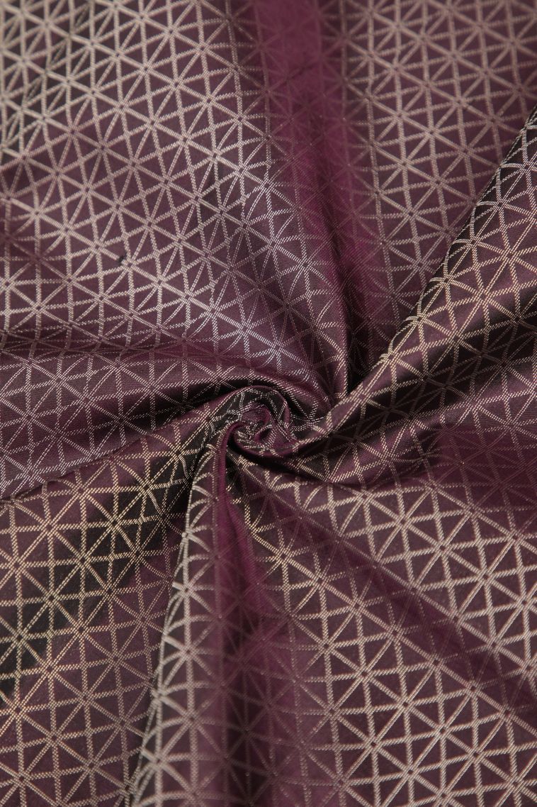 Mulberry Purple Soft Silk Saree with Silver Zari Buttis (small Dots Or Motifs) view 4