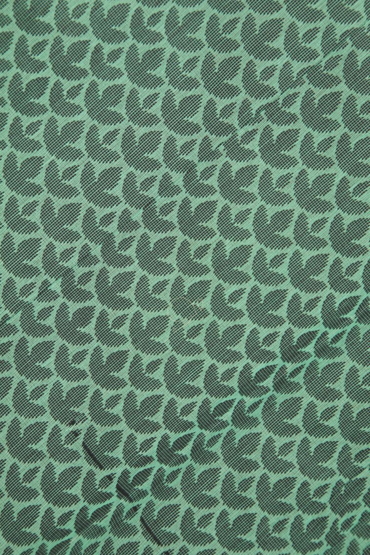 Pistachio Green Silk Cotton with Without Zari Zari Buttis (small Dots Or Motifs) view 3