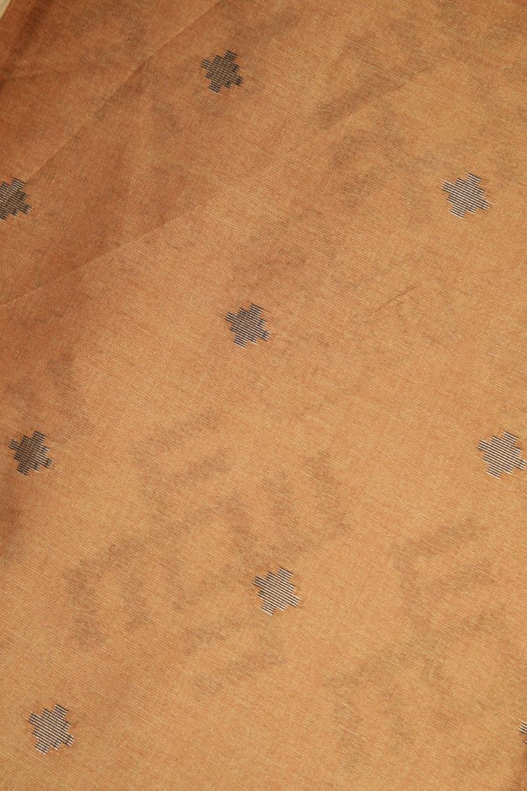 Sapphire Blue Tussar Saree with Bronze Zari Buttis (small Dots Or Motifs) view 3