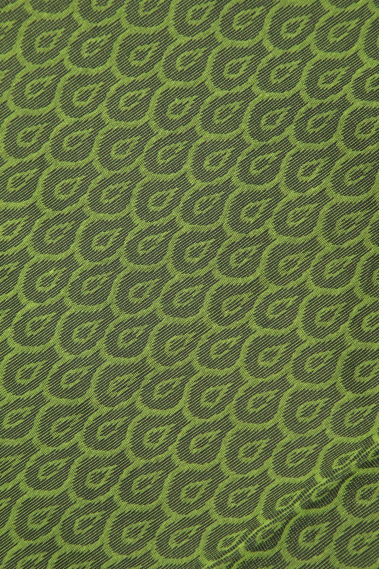 Pear Green Silk Cotton with Without Zari Zari Buttis (small Dots Or Motifs) view 3