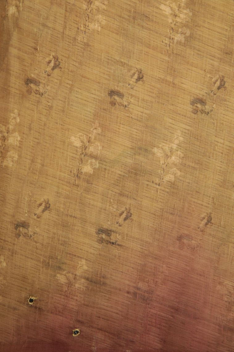 Tortilla Brown Fancy Saree with Without Zari Zari Floral Patterns view 3