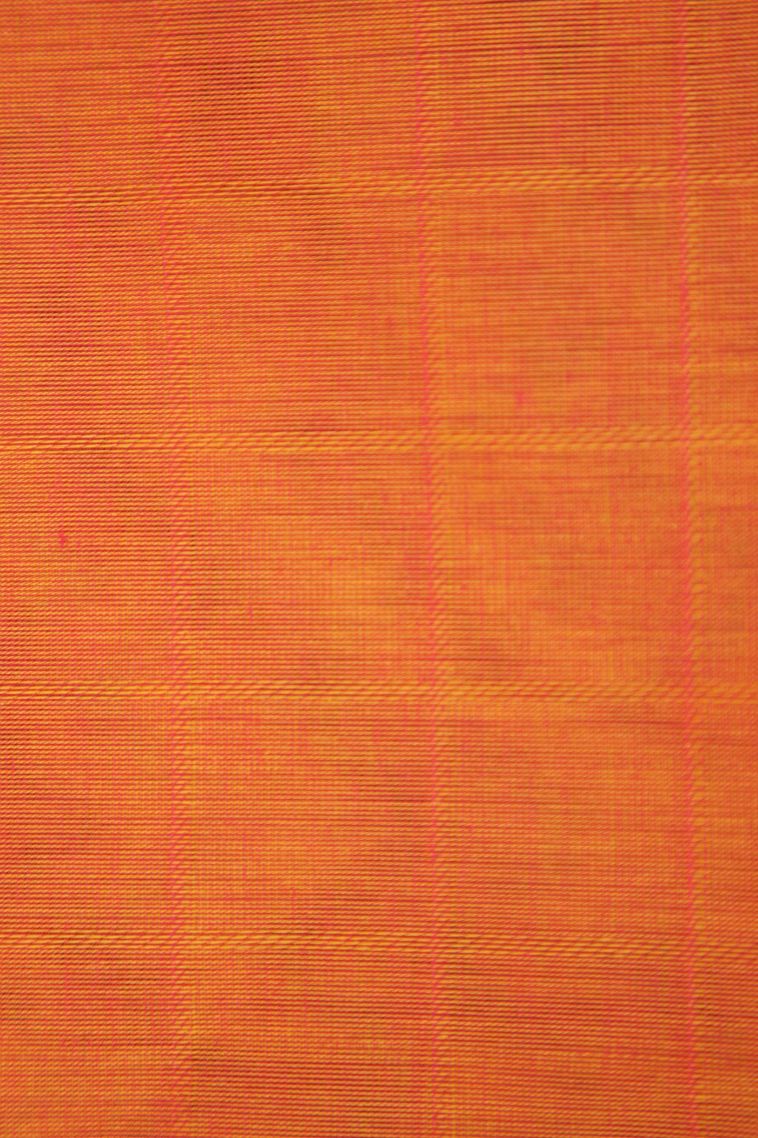 Tiger Orange Kanchi Cotton Sarees with Without Zari Zari Buttis (small Dots Or Motifs) view 3