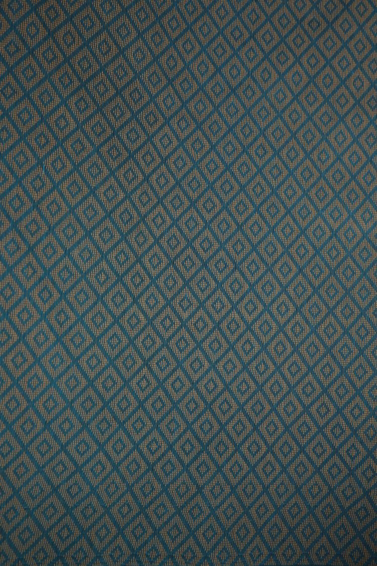 Cerulean Blue Silk Cotton with Copper Zari Floral Patterns view 3