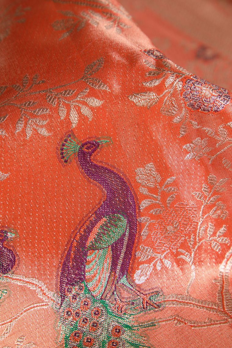 Tiger Orange Tissue Silk Sarees with Gold Zari Peacock Motifs view 4
