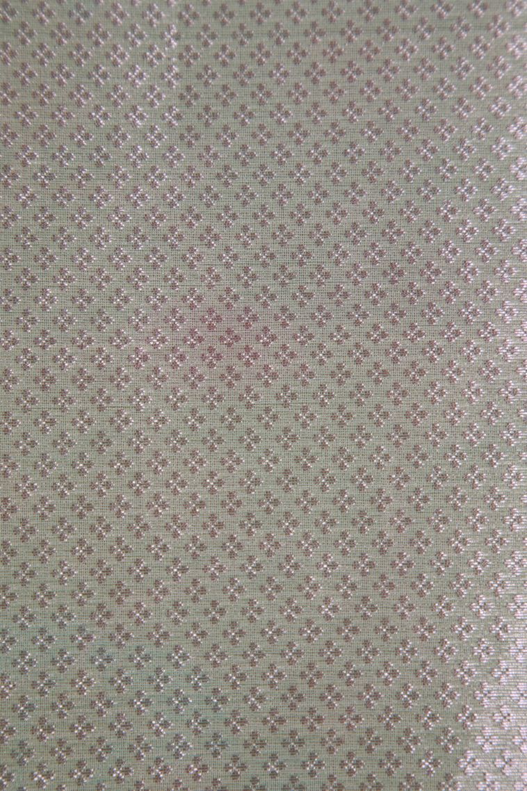 Pistachio Green Organza Saree with Copper Zari Floral Patterns view 3