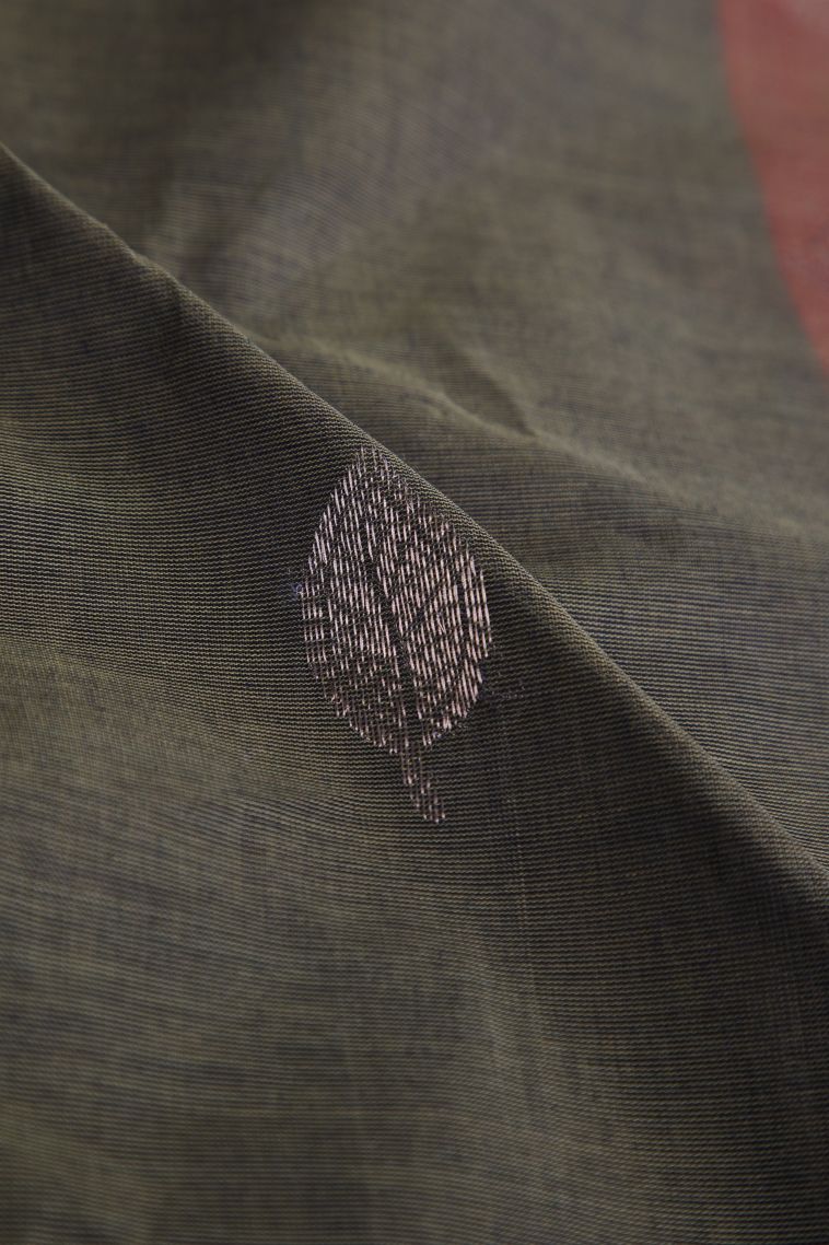 Sage Green Pure Handloom Kovai Cotton with Without Zari Zari Floral Patterns view 4