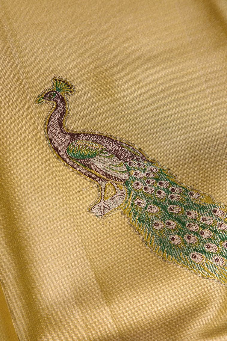 Metallic Gold Tissue Silk Sarees with Gold Zari Peacock Motifs view 4