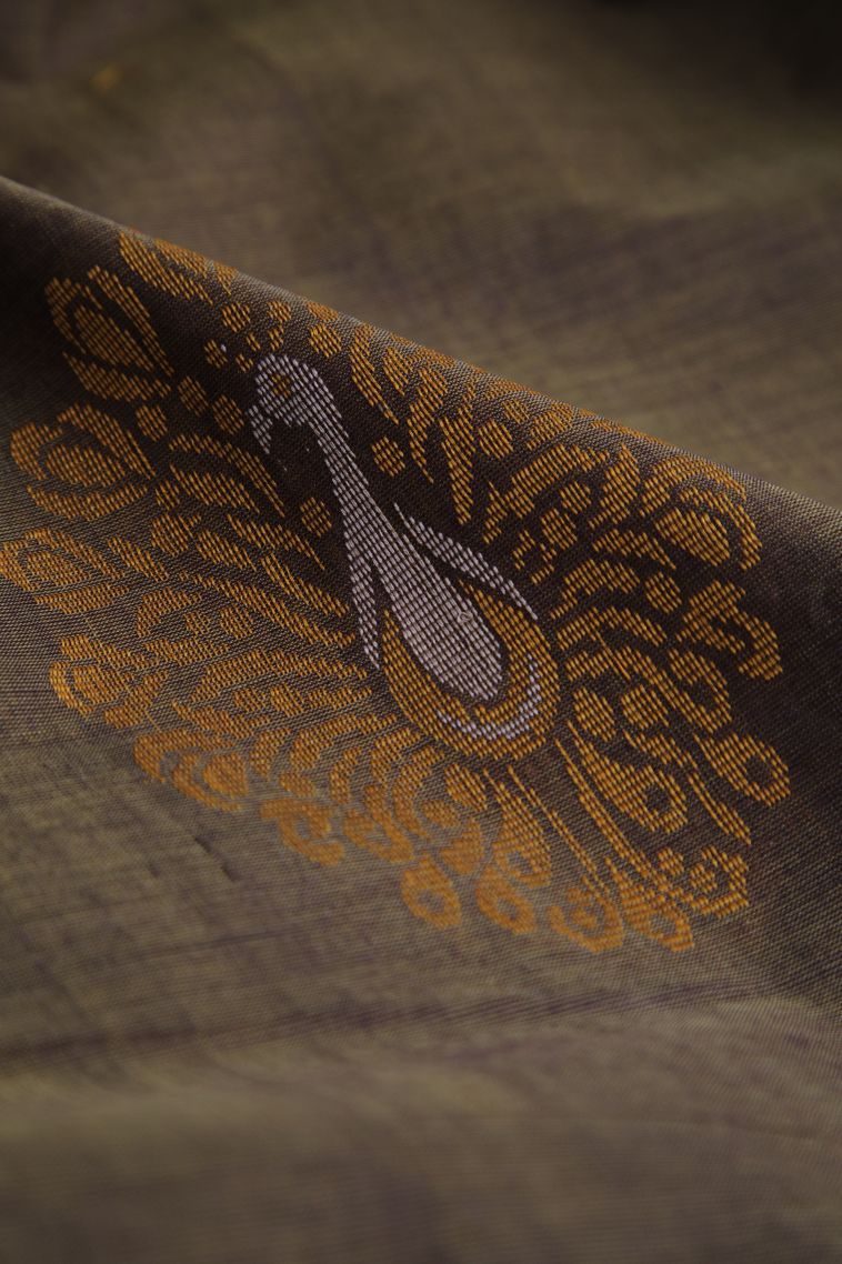 Seaweed Green Pure Handloom Kovai Cotton with Without Zari Zari Peacock Motifs view 4