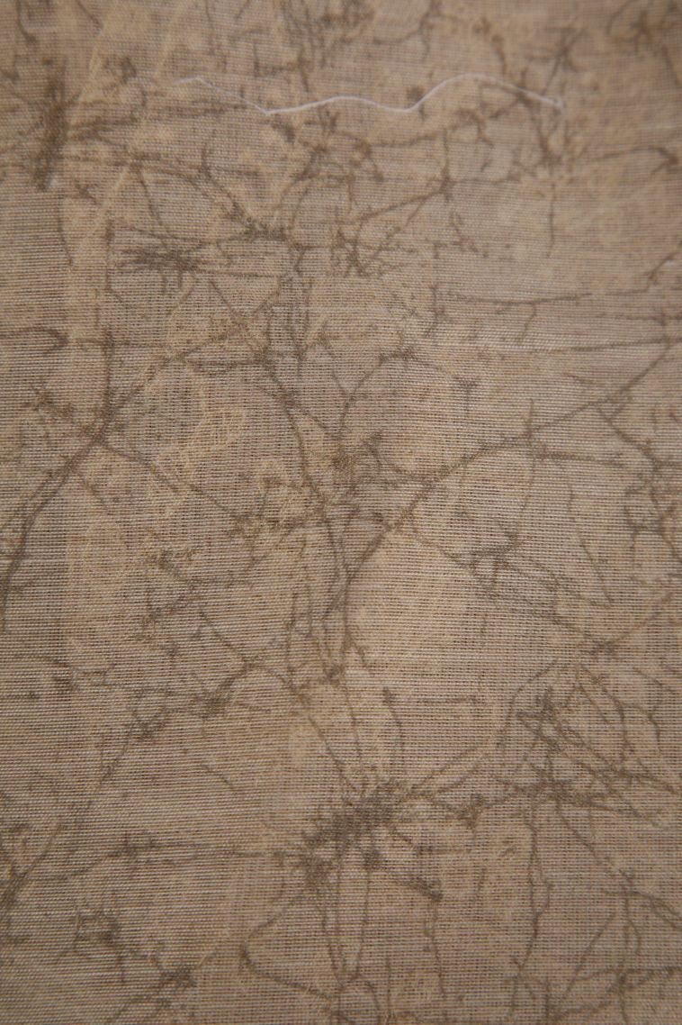 Cherry  Red Fancy Saree with Without Zari Zari Floral Patterns view 3