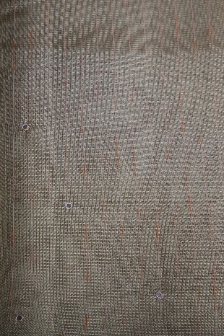 Cantaloupe Orange Organza Saree with Gold Zari Floral Patterns view 3