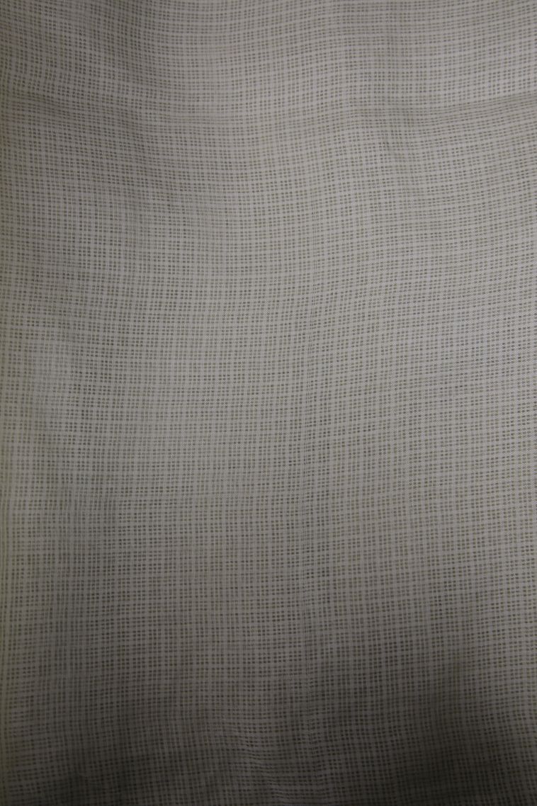 Pistachio Green Organza Saree with Without Zari Zari Tribal Or Folk Art view 3