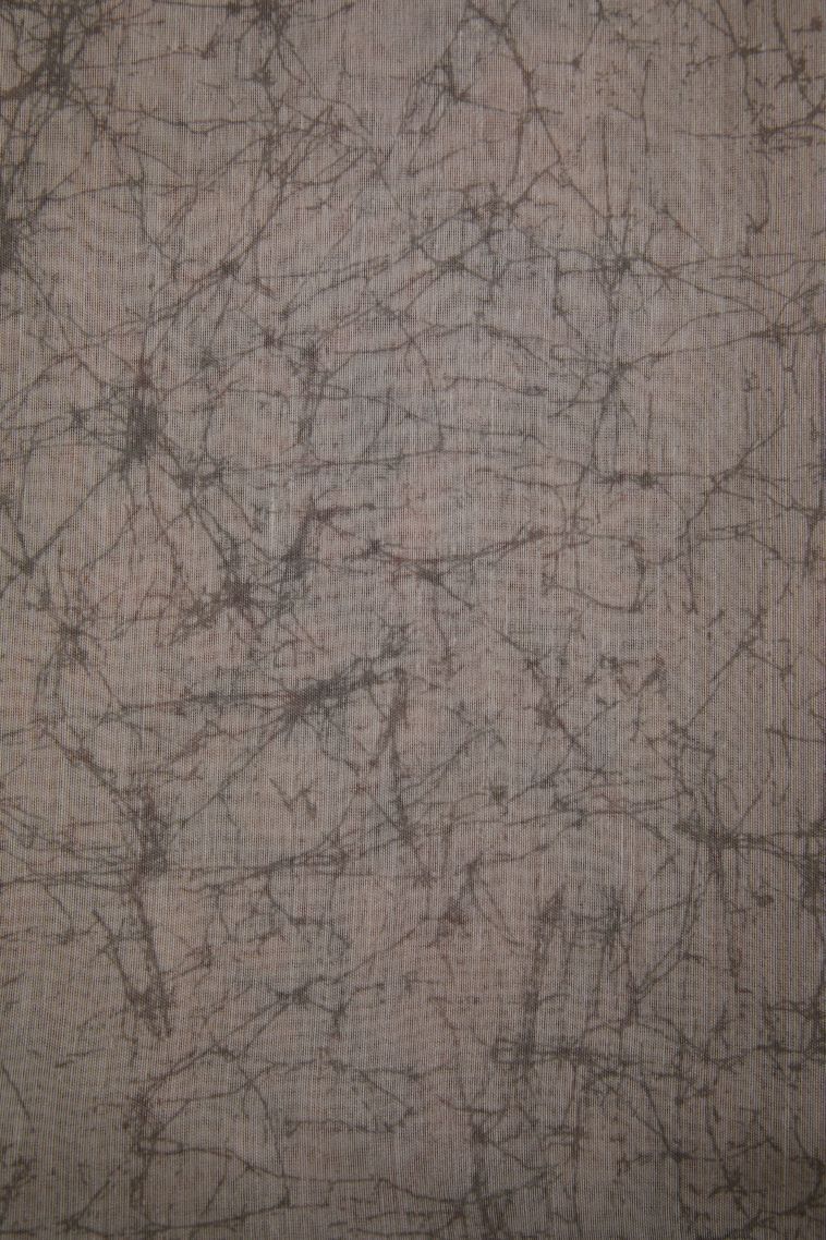 Dawn Red Fancy Saree with Without Zari Zari Floral Patterns view 3