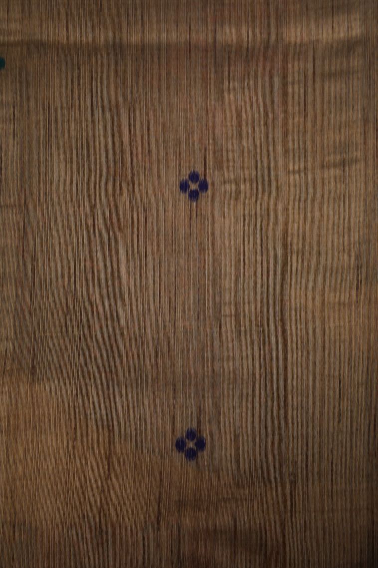 Tortilla Brown Tussar Saree with Without Zari Zari Floral Patterns view 3