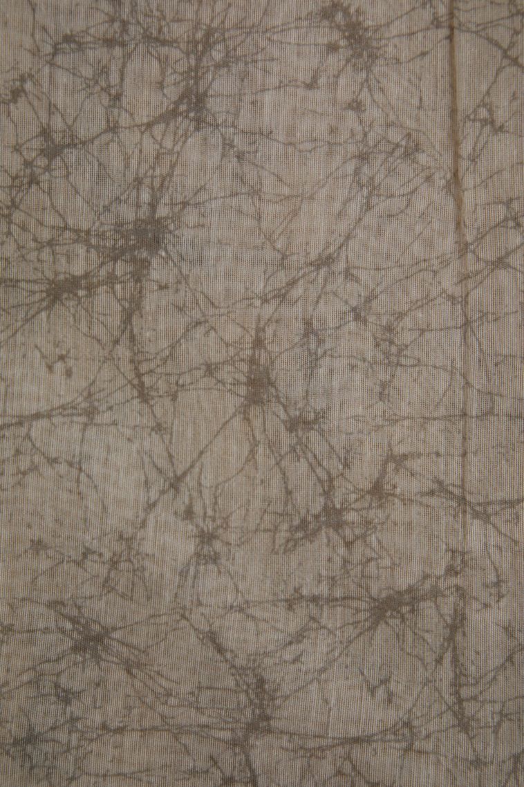 Ocean Blue Fancy Saree with Without Zari Zari Floral Patterns view 3