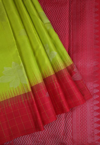 Pear Green Soft Silk Saree with Silver Zari Floral Patterns