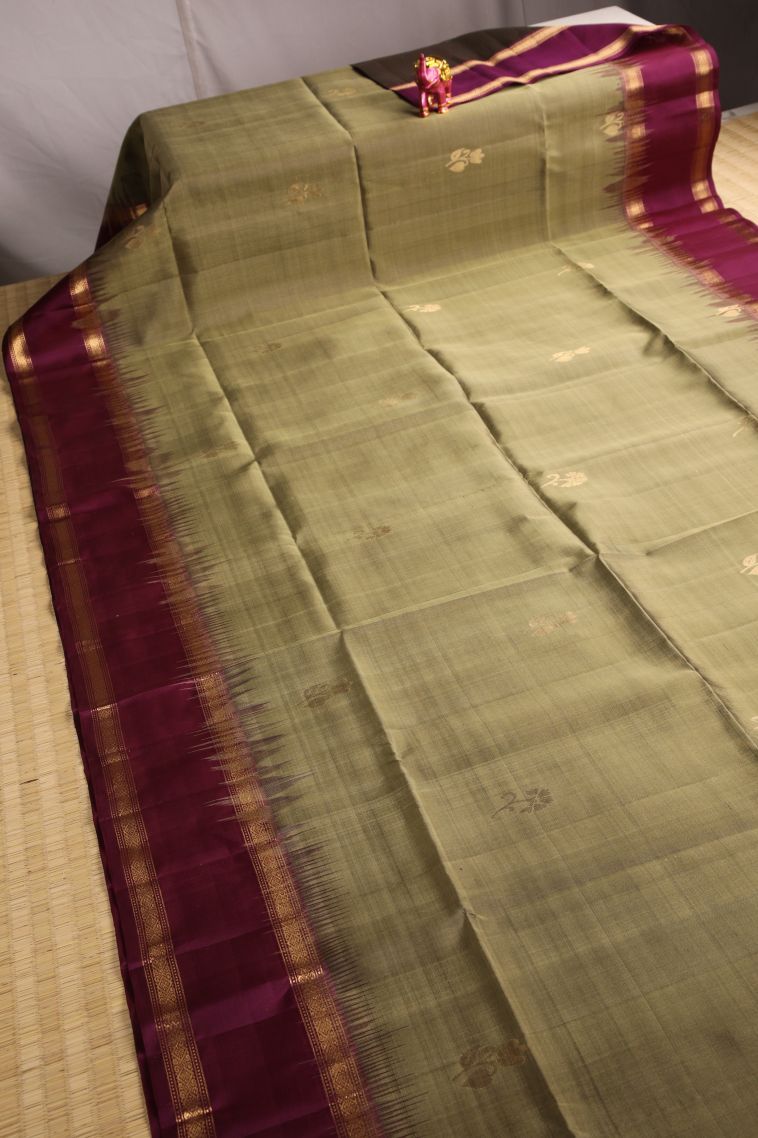 Tortilla Brown Soft Silk Saree with Gold Zari Floral Puttas view 2