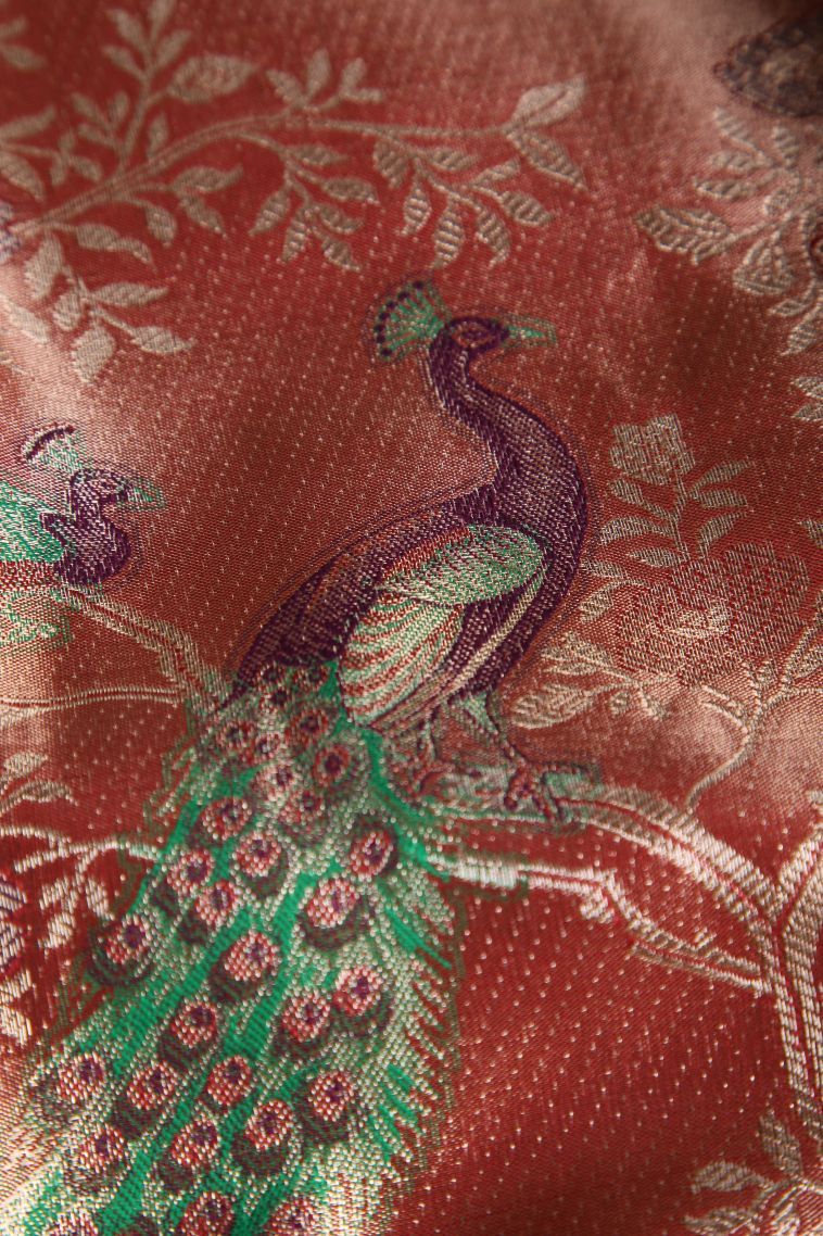 Amber Orange Tissue Silk Sarees with Gold Zari Peacock Motifs view 4