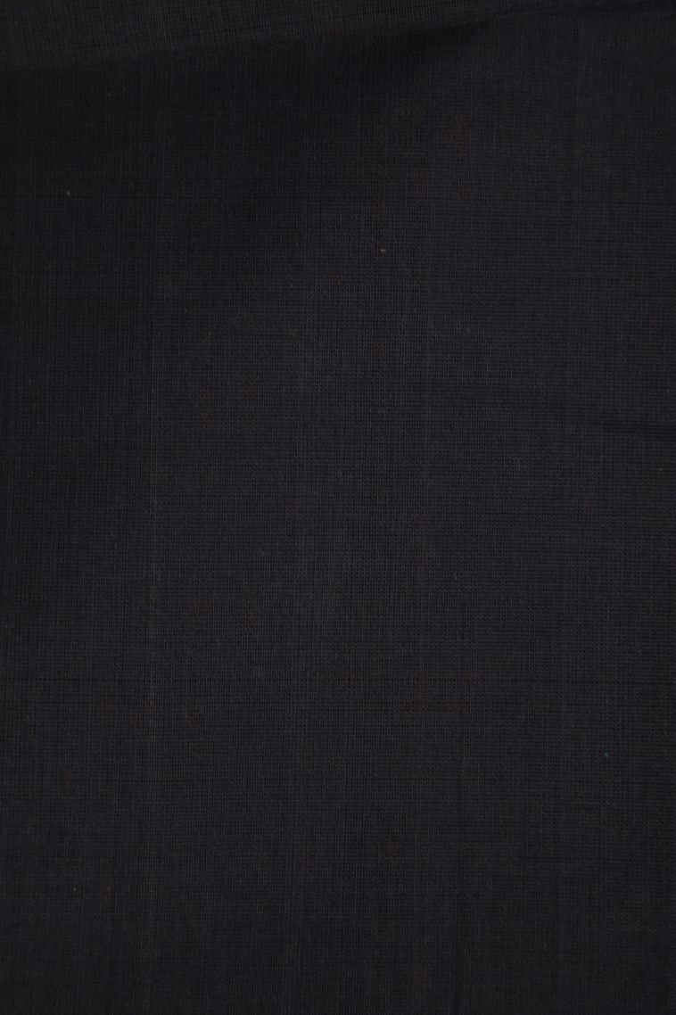 Arctic Blue Pure Handloom Kovai Cotton with Without Zari Zari Floral Patterns view 3