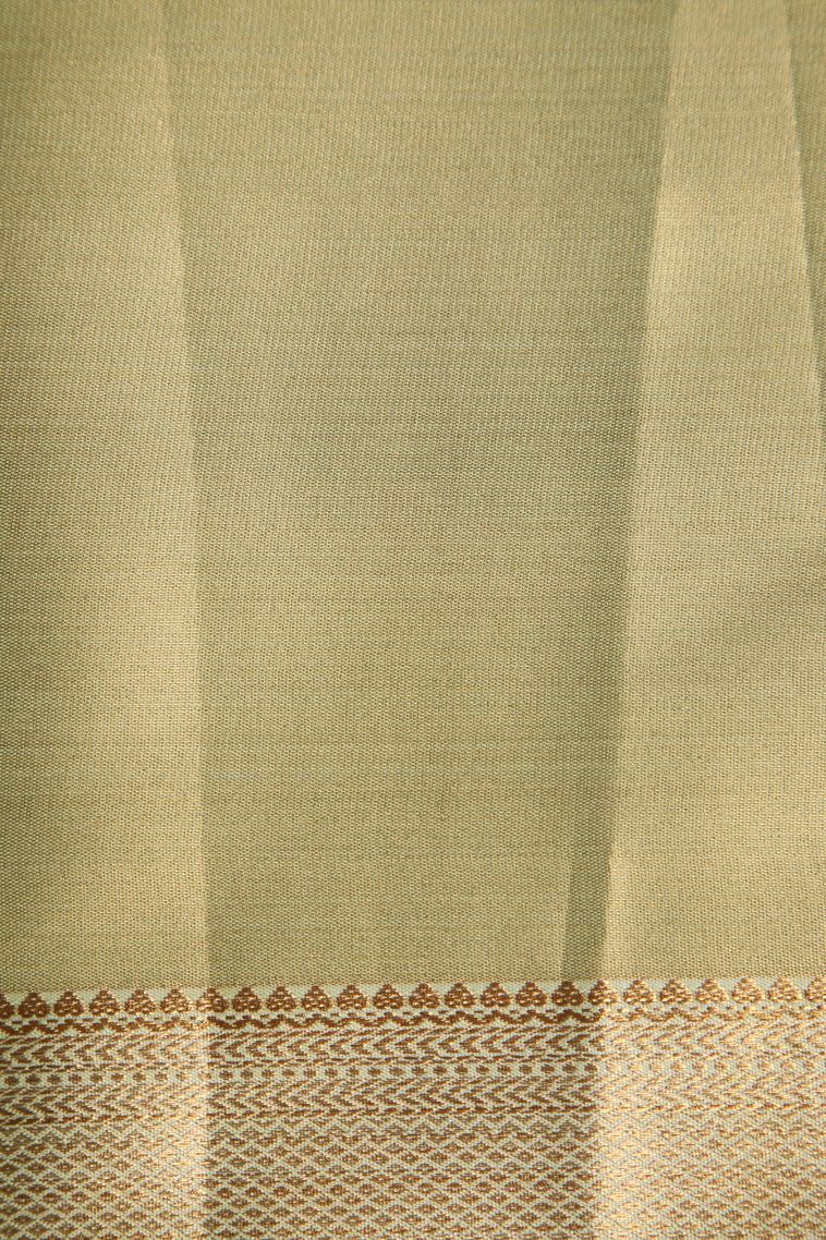 Peanut Brown Tissue Silk Sarees with Gold Zari Floral Patterns view 3